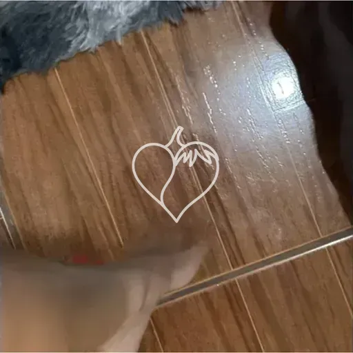 Foto de Sophie Araujo