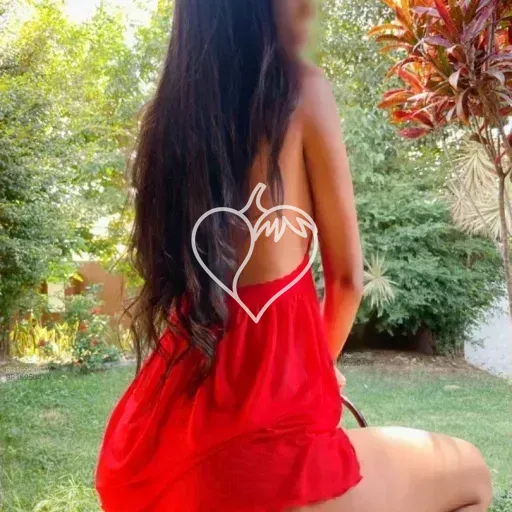 Capa de Camilla