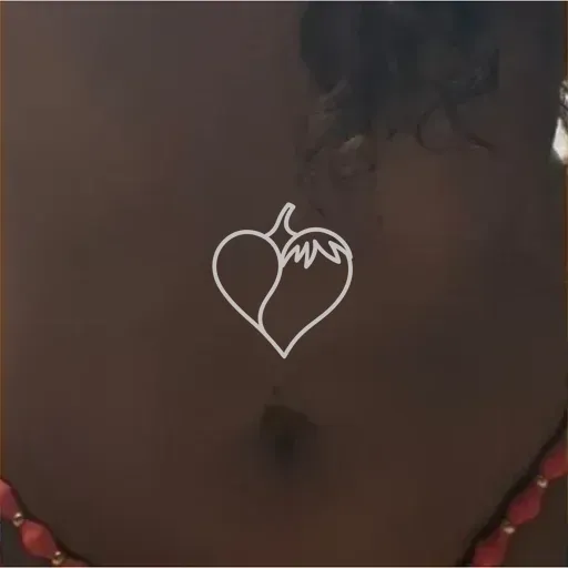 Capa de Melissa