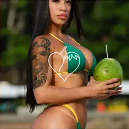 Nick Araújo