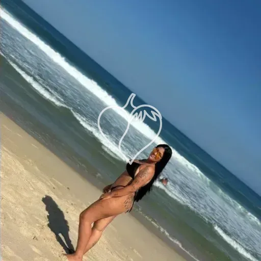 Luiza Silva Santos