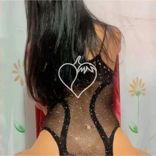 Capa de Bruninha