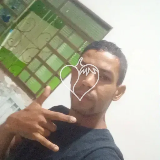 Capa de Willk
