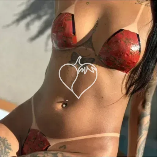 Capa de Gabriele