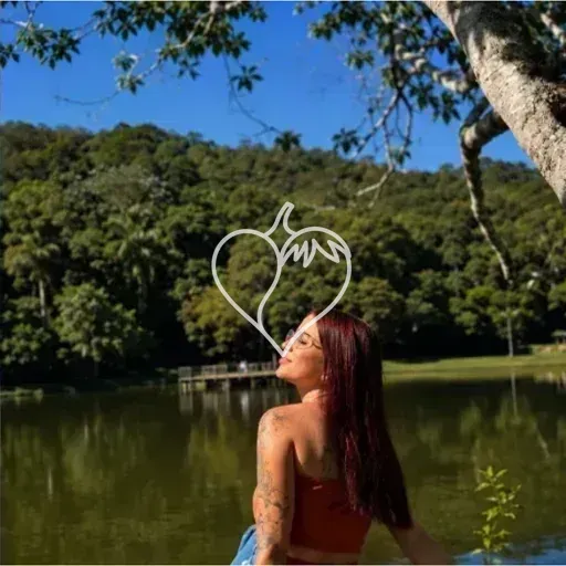 Capa de Dany
