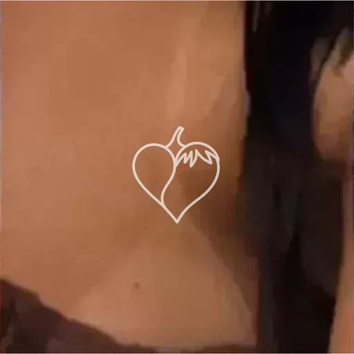 Capa de Melissa