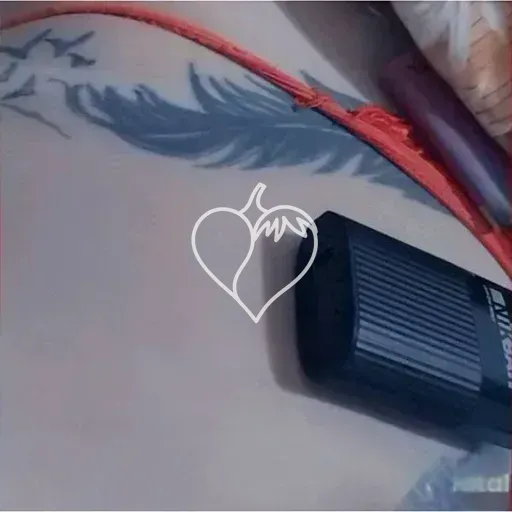 Larrisa