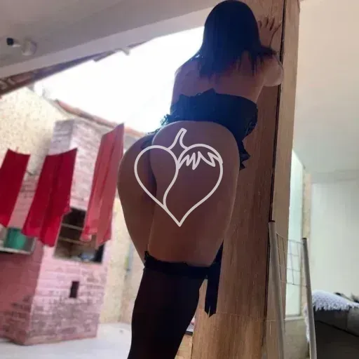 Capa de Bruninha
