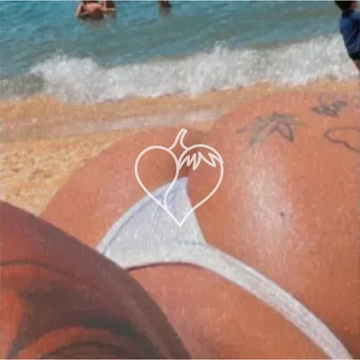 Capa de Karol