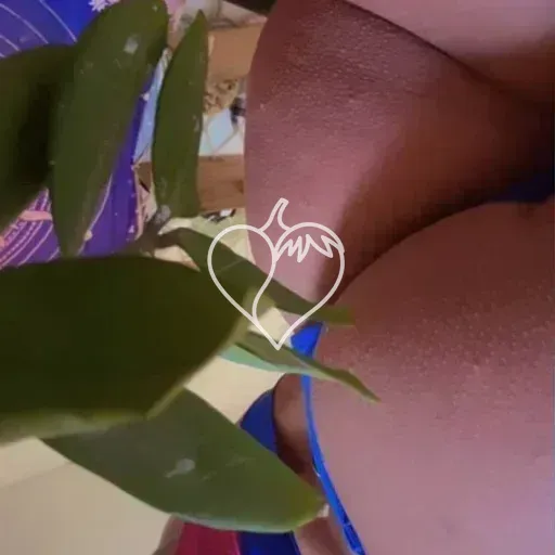 Mandy