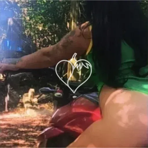 Capa de Vivi Guedes