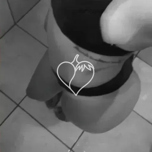 Capa de Renata