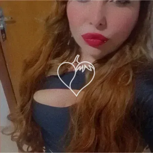 Capa de Dany