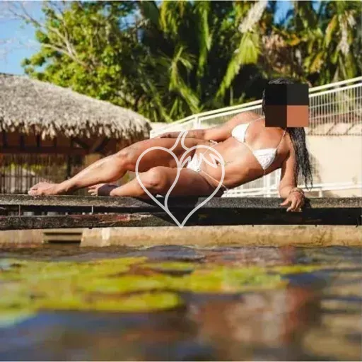Beja Ferrer