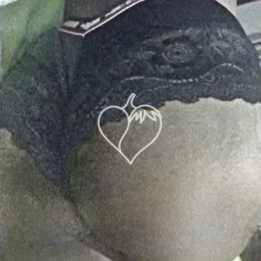 Morena