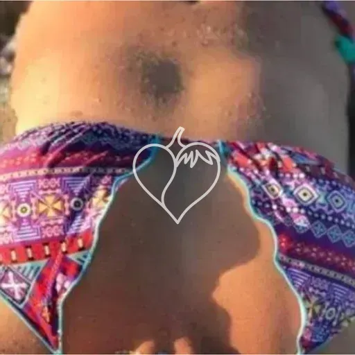 Capa de Aninha