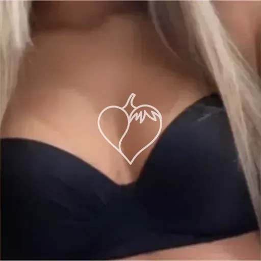 Capa de Bruninha