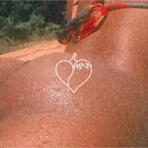 Foto de Melzinhaa