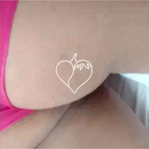 Padilha