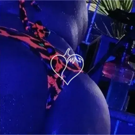 Foto de Bombomzinho