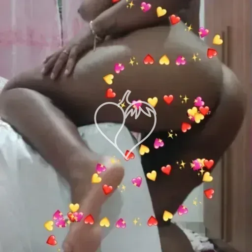 Capa de Lauanda