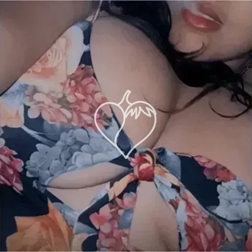 Capa de Aninha