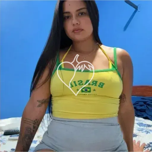 Capa de Barreto