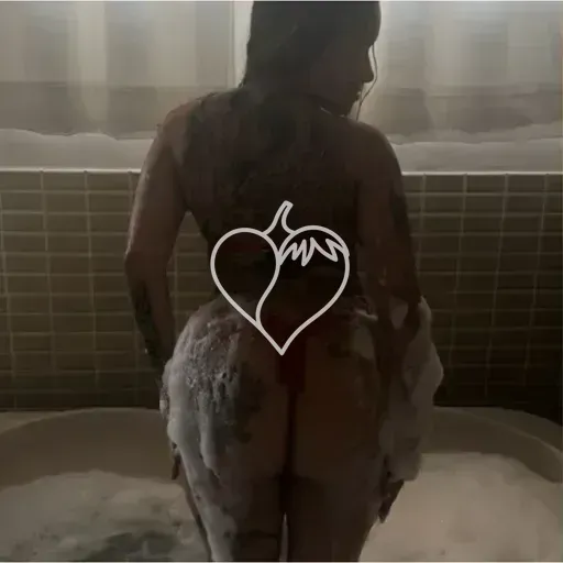 Capa de Aninha
