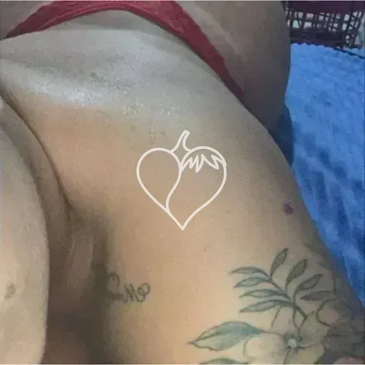 Capa de Karol