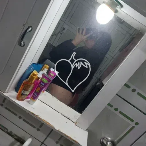 Capa de Aneeh