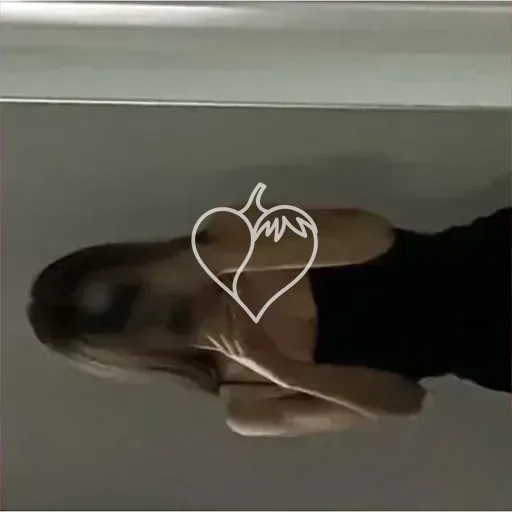 Foto de Elisa Mendes