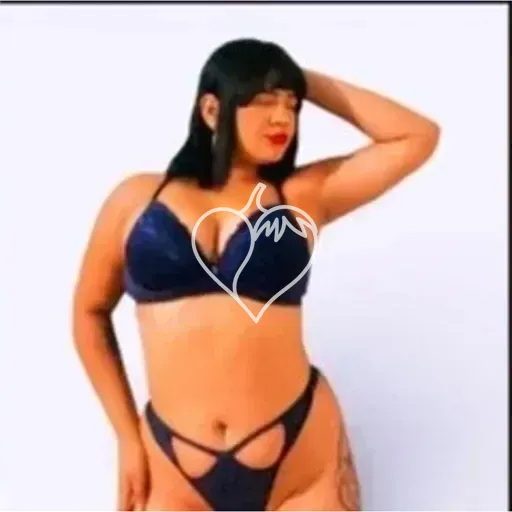 Capa de Aninha