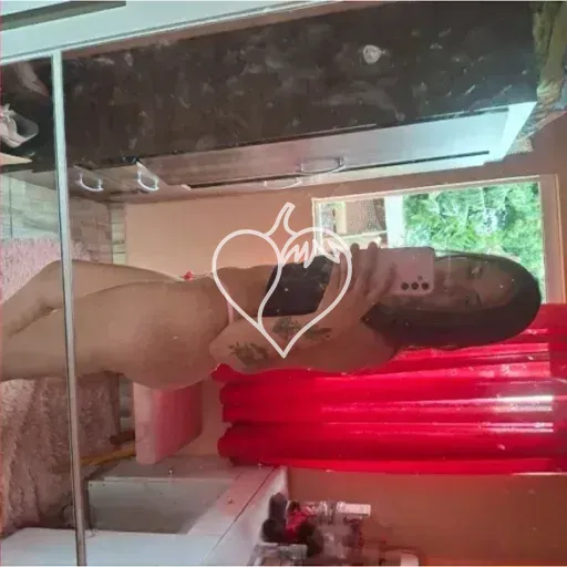 Foto de Paloma