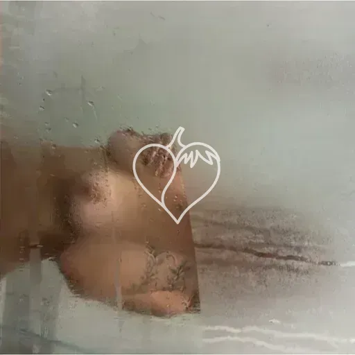 Capa de Stefany