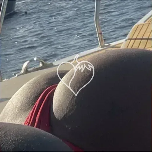 Capa de Patyzinha