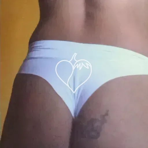 Capa de Viviane