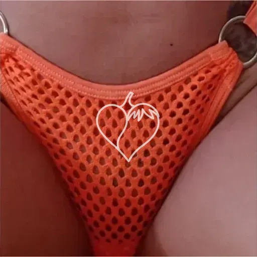 Capa de Viviane Fox