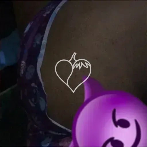 Capa de Larissa