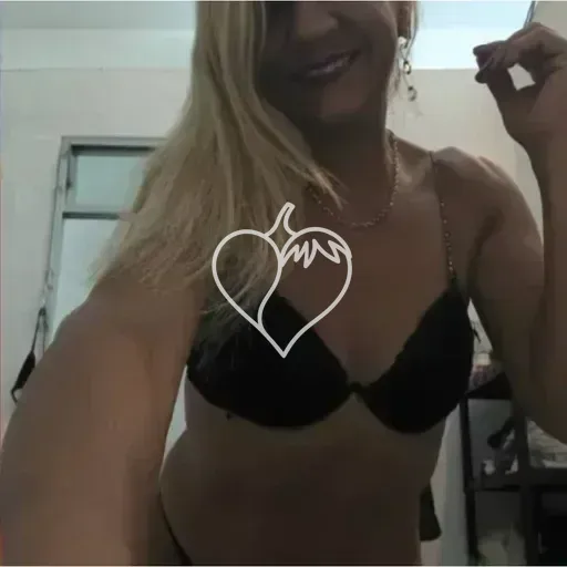 Capa de Sol Araujo