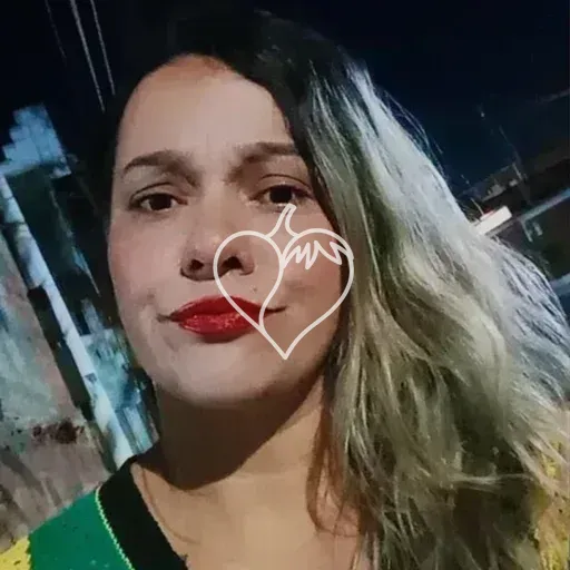 Capa de Noeli Martins