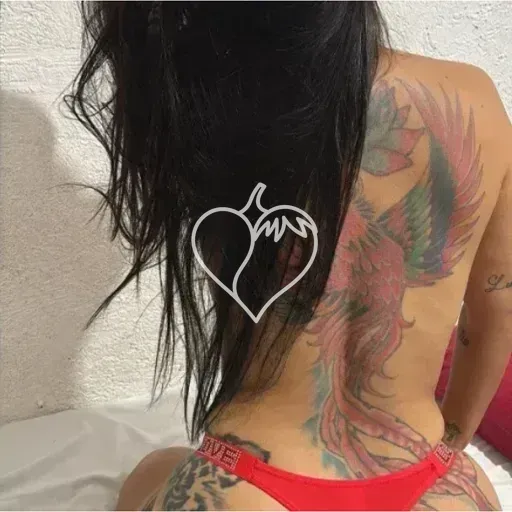 Capa de Gueixa