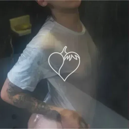 Capa de Lys Ventura