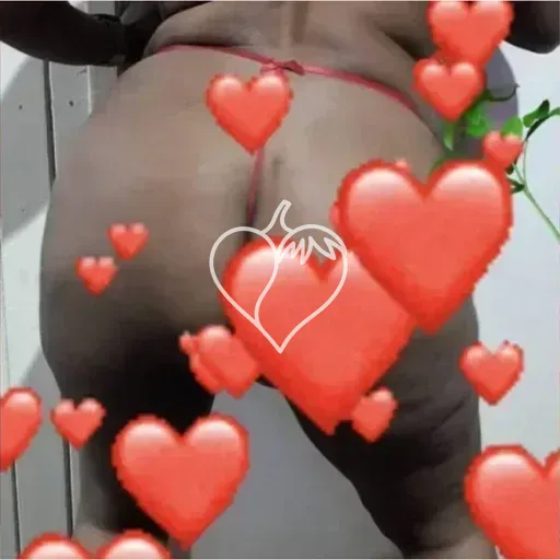 Ayla Negra